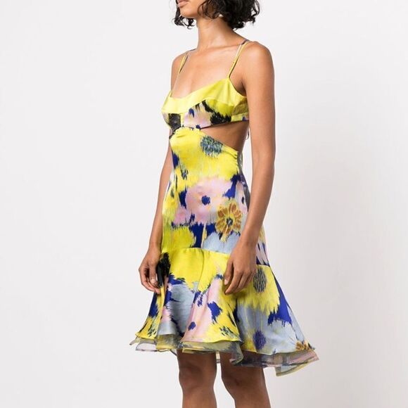 NEW Silvia Tcherassi Analissa Cut Out Silk Abstract Floral Dress Medium - Picture 2 of 14